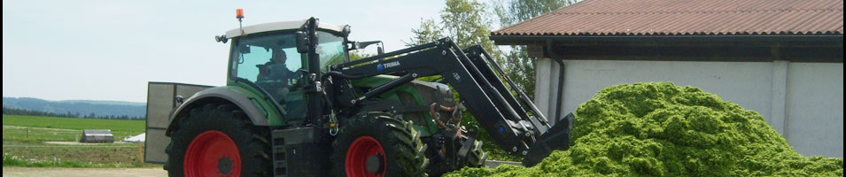 Fendt 826 Vario beim Silo walzen