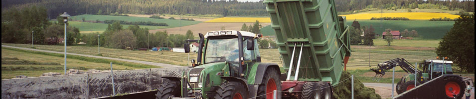 Fendt Vario 714 und 818 bei der Grassilage.